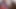 Uğur böceği ile 2019 Avn Expo