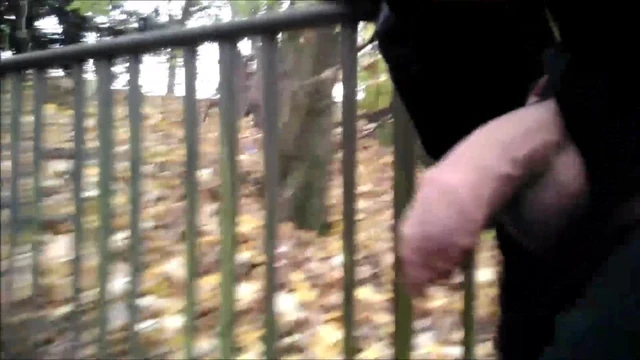 Man jerks off in the park, two women sit on a bench and see
