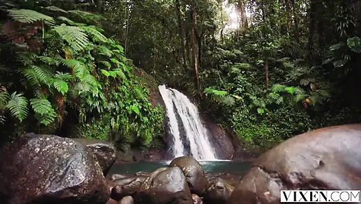 Vixen tatilde kural yok