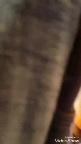 Suprise facial blast