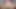 ホットなデシ女優が監督に犯される