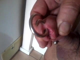 Still Horny