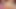 xhamster.com