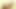A Wild Blonde Slut Intense Masturbation!