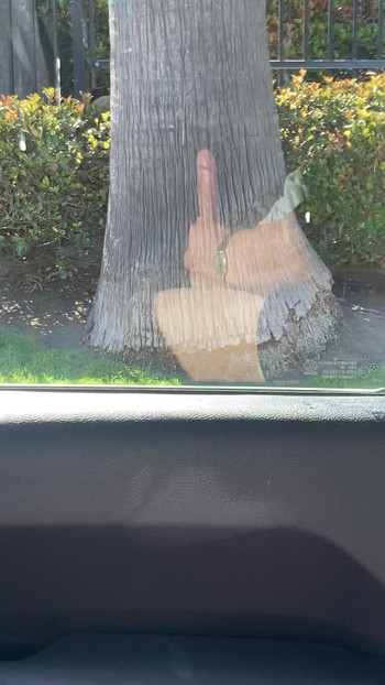 Stroking Big Fat Asian Cock