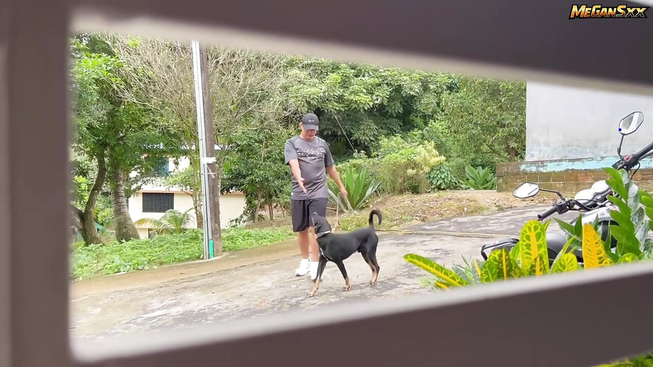 That's how I work with the dog walker.