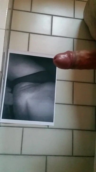 Cum haraç üzerinde güzel kedi