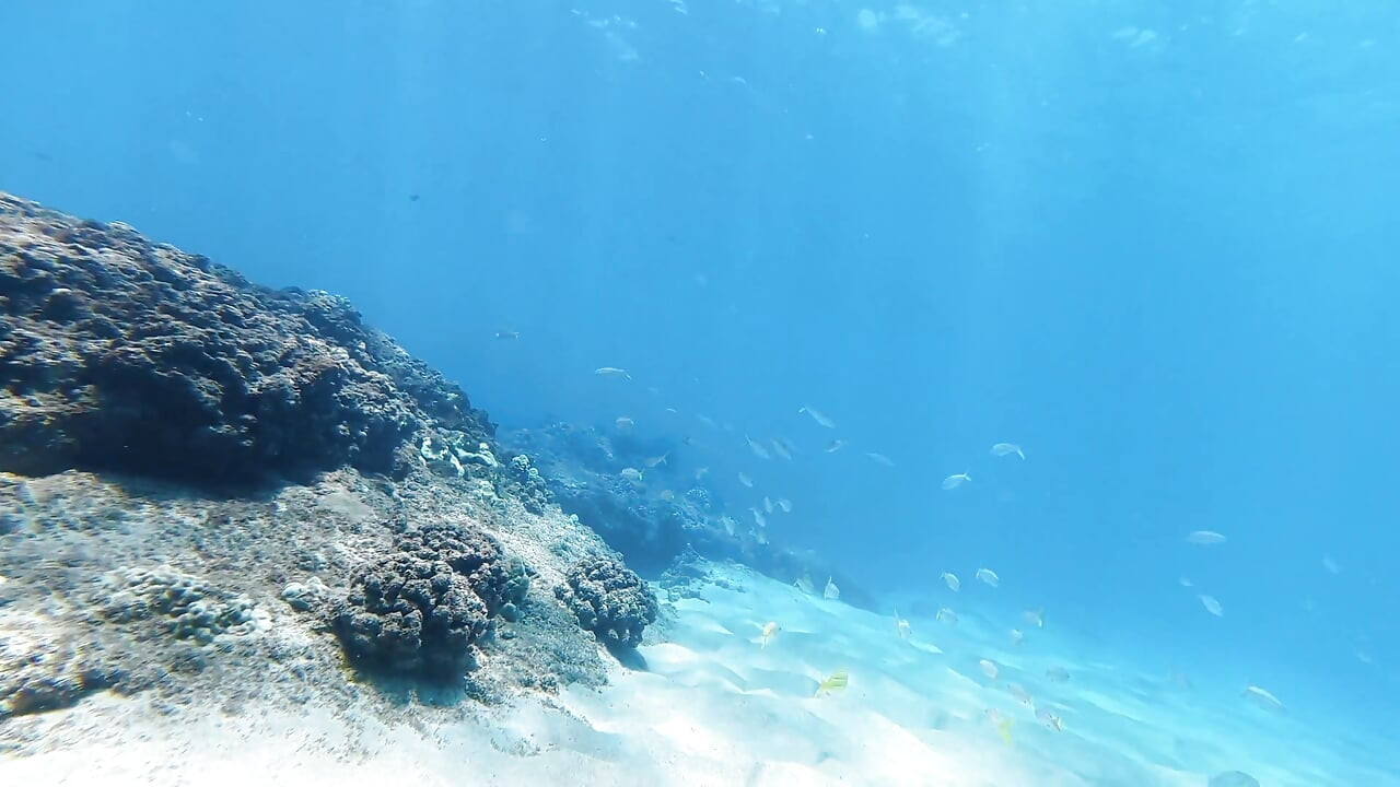 Culona Belleza Kayci Kaylani Desnuda Bajo El Agua, Buceo Y Masturbación