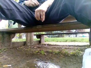 Kocalos - pissen in een openbaar park