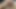 Indian cock masturbate  hard cock long dick