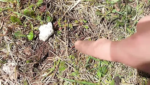 pee on the ground near truck wheel