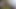 セクシーなアラブ