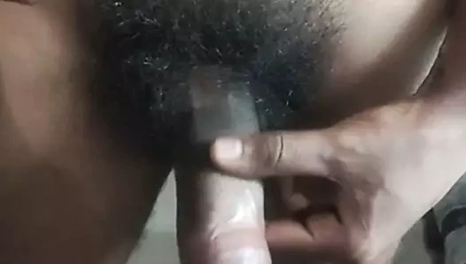 Desi lung