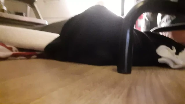 Anal toy