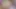 Amcık büyük dildo ve 3 lovense ile genişliyor