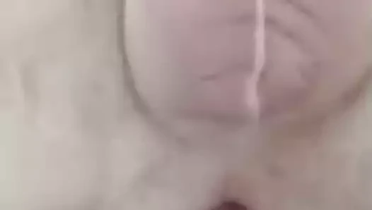 44 için zencefil baba