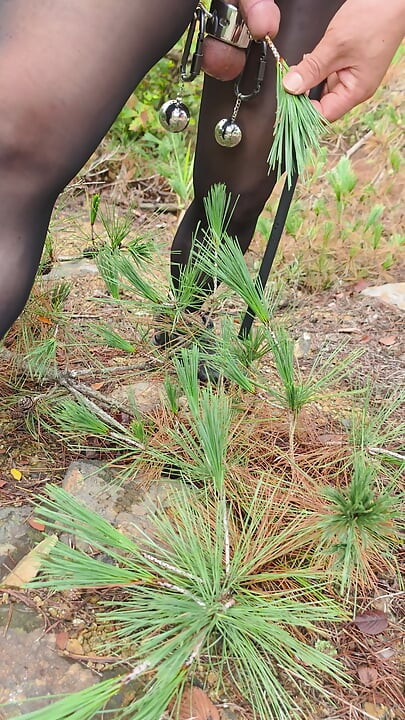 pantyhose peehole