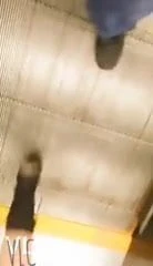 pack of cute legs and surprise at the end