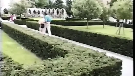 German cherry 5 (1999)