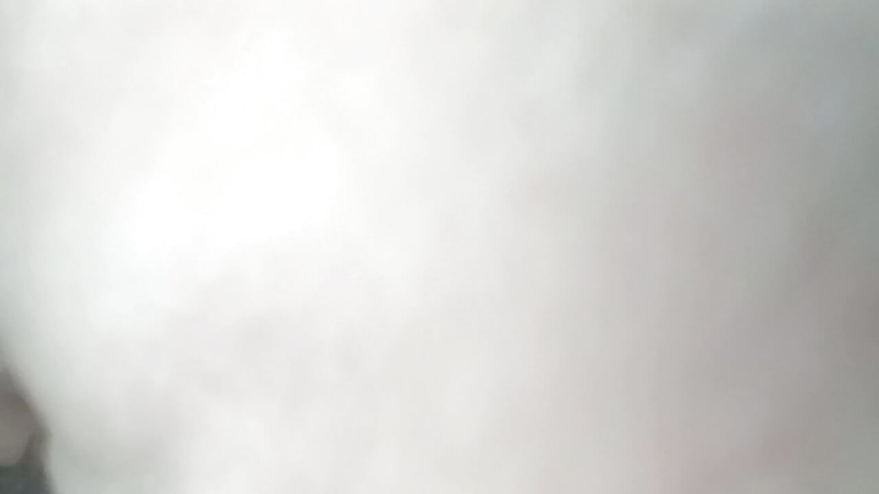 マレーガール・ドギースタイル・コンピレーション