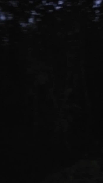 Hot sex in the forest in India