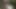 Julia North Quick Anal Fuck In The Forest
