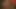 DrncmクラシックFFM h1