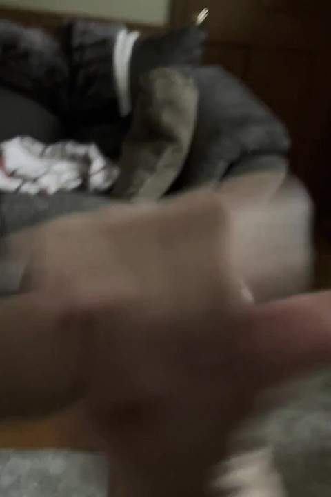 Daddy Sucking Cock and Masterbating with His Bud