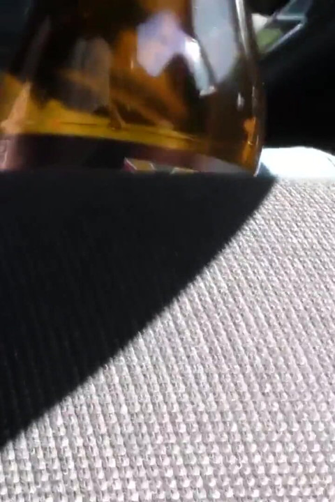 Hitchhiker Sex Slave Vol 1