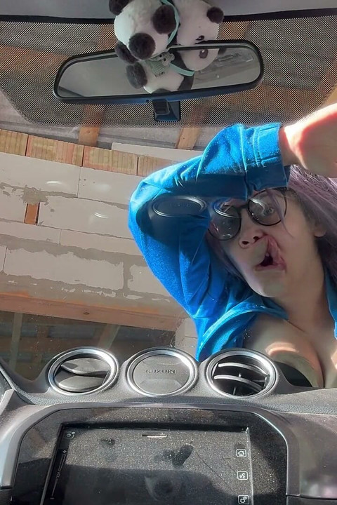 I Make Silly Faces at My Car I Press My Face, My Mouth, and My Tongue Against the Glass Window, and Then I Make Silly Faces.