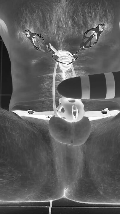Multiple ruined orgasms in chastity cage with 30cm long penis plug
