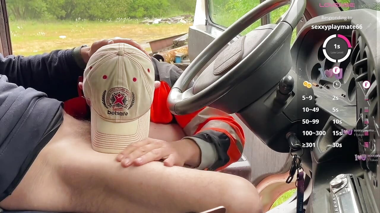 A Sunny Truck Encounter
