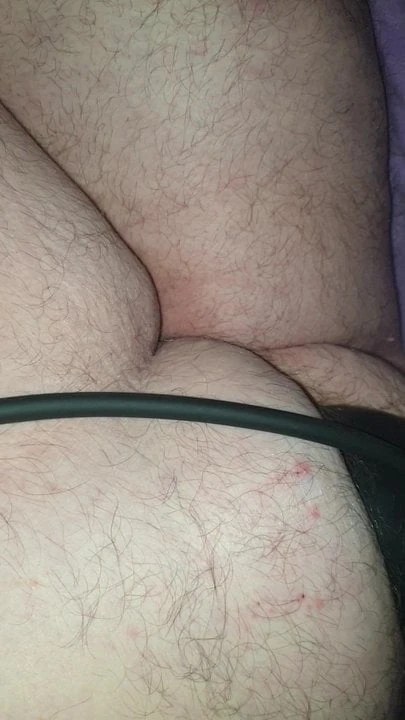 Gordito tragon