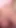 Captivating moment from "Facesitting on Boyfriends face Till Extreme Shaking SQUIRTING ORGASM - Amateur MrPussyLicking"