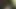 My dick is so cute please fuck me