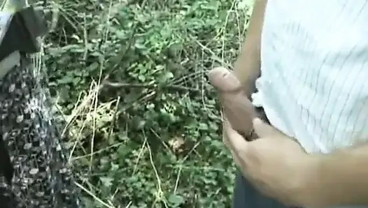 Niederländische fantasien: Niederländische Fantasie # 190