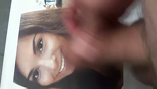 Rieneu'ya övgü