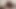 Jizz domina bite and jerk