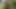 Beefy Fuck of a Soldier in the Garden