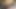 I really need fast cum...