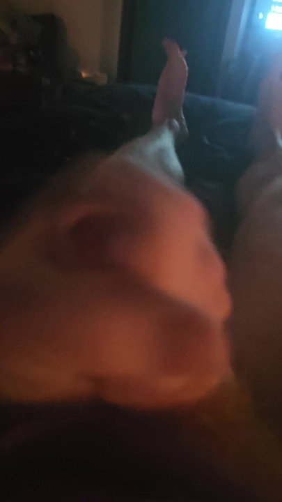 Đumbir medvjed svršava