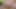 Big tits blonde threesome sex with a hot double penetration
