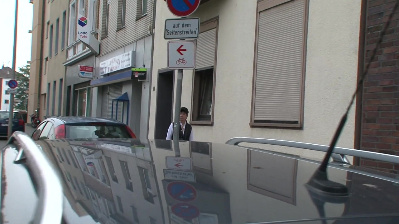 Alman seks #2