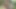 Horny German Girl masturbates in the middle of the jungle (Risky JOI)
