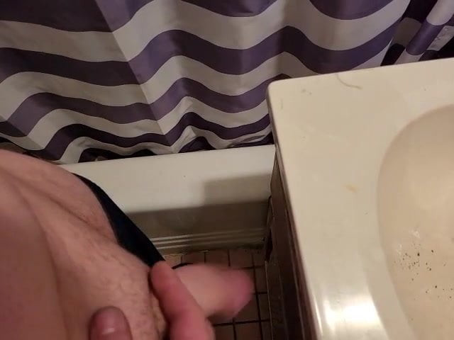 Young White Cock