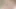 tourist miss understood each other! threesome sex! i agree to take off condom