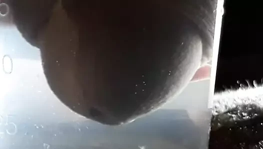 sualtı twinks yakın Yukarı