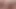 ASS TUBE JOCKERS COCK: HOT TRANS