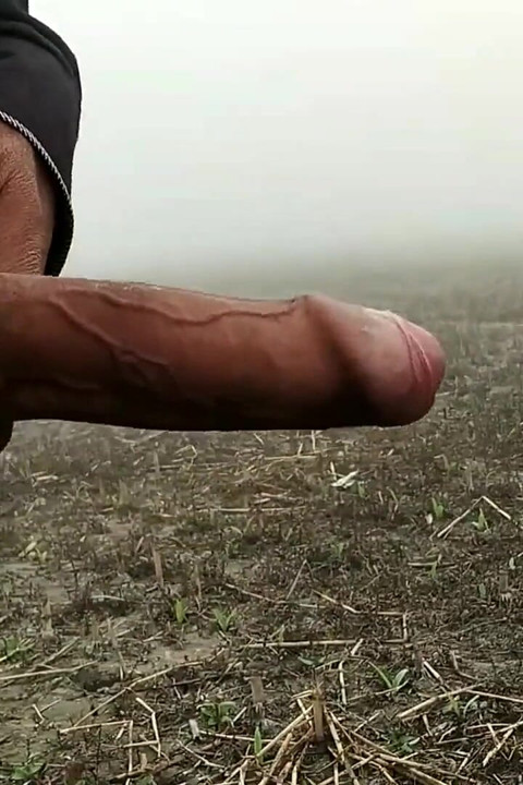 Big Cock Showing on Open Area