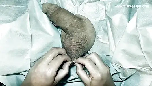 Dominaytix mistress April - medical chastation